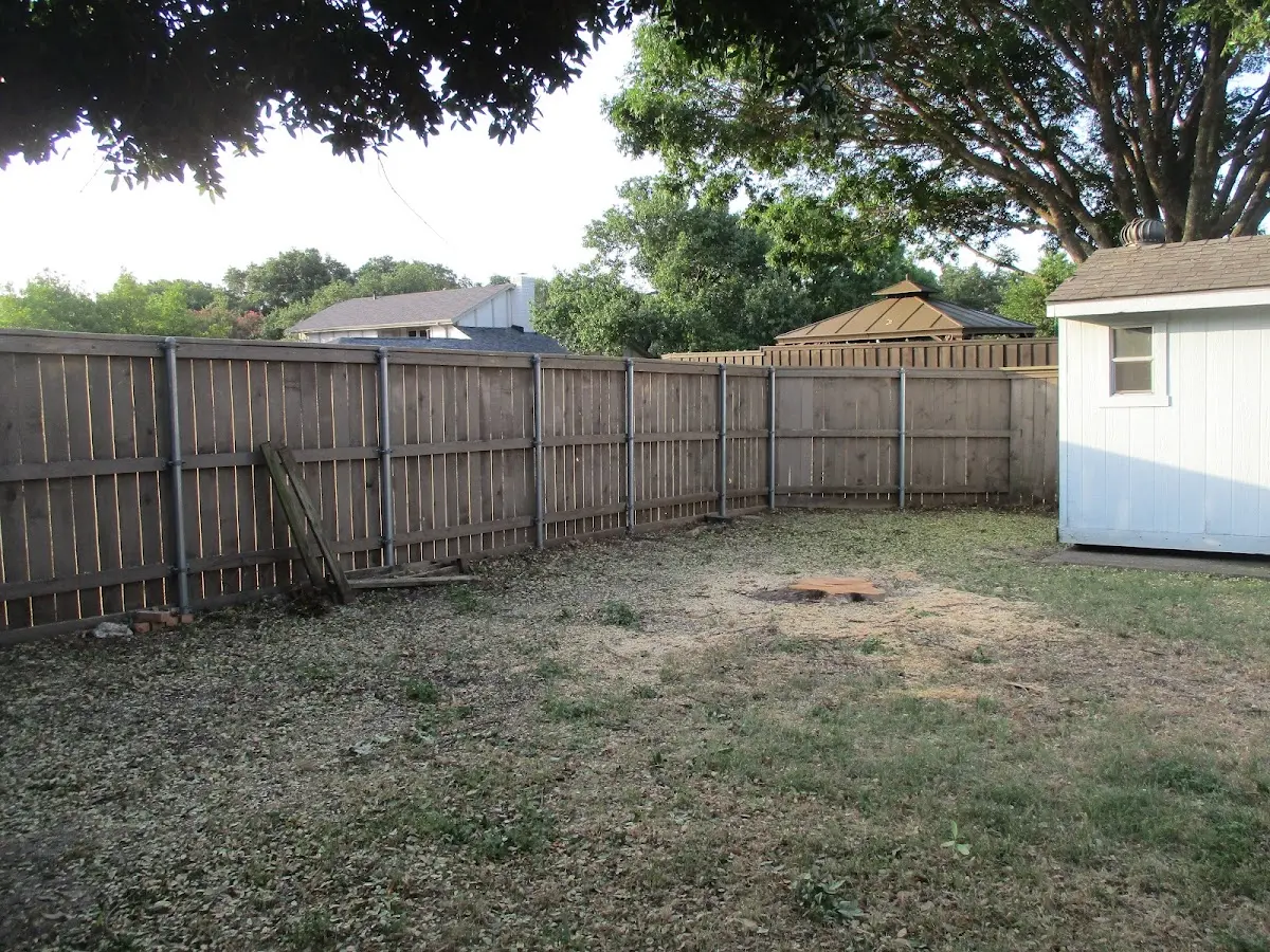 Cleared yard after professional tree removal in New Albany