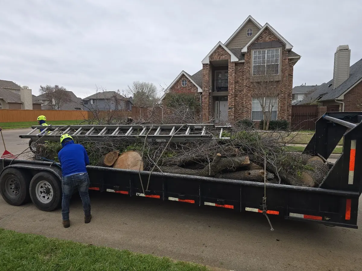 Expert Tree Pest Control with proper safety equipment in New Albany
